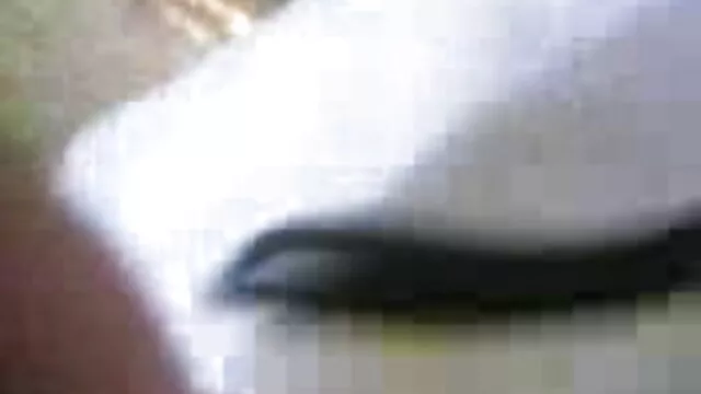 सेक्सी सेक्सी इंग्लिश मूवी वीडियो मिल्फ ने बेटे के दोस्त को बहकाया- विंटेज