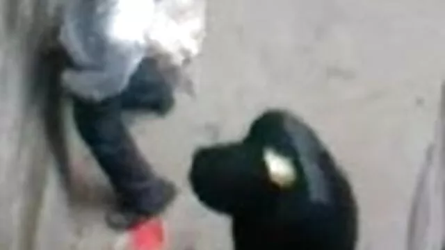 उसके सोफे पर सींग का बना गोरा कठिन इंग्लिश सेक्सी मूवी हिंदी में गुदा