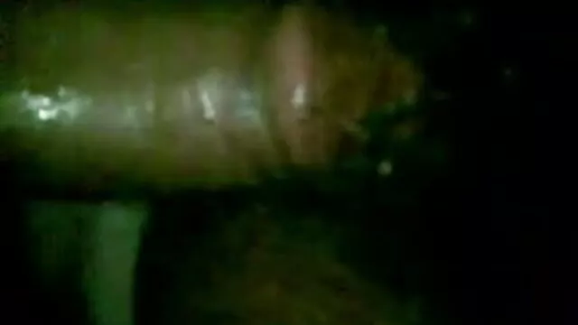 हॉटेस्ट मिल्फ़ सेक्सी मूवी वीडियो इंग्लिश इज़ बैक