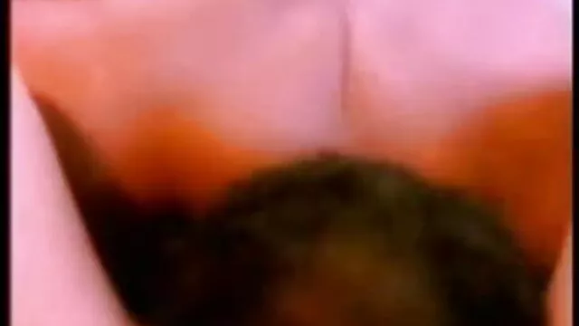 Tia1 इंग्लिश इंग्लिश सेक्सी मूवी