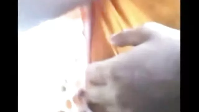सेक्सी युवा लड़की बिल्ली, सह शो पर खिंचाव का उपयोग करता हिंदी सेक्सी मूवी इंग्लिश है