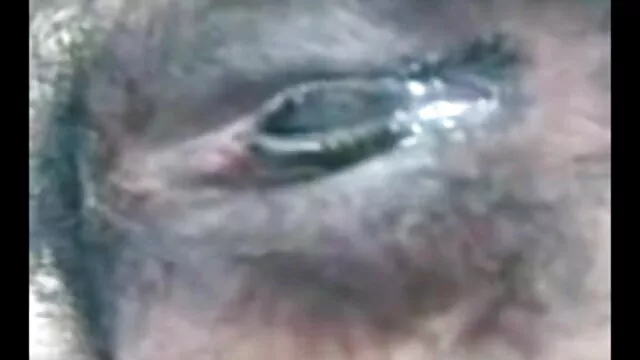 ब्रुना इंग्लिश पिक्चर सेक्सी फुल मूवी बीबीसी