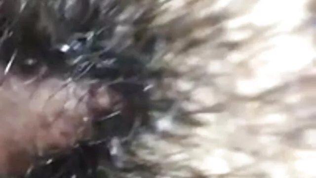 गर्म शौकिया अश्लील 2 में सेक्सी शौकिया इंग्लिश मूवी सेक्सी बेब से blowjob