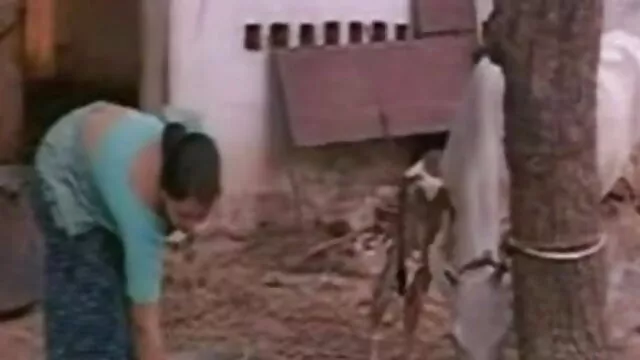एक गोरा और डॉन सेक्सी बफ इंग्लिश मूवी फर्नांडो