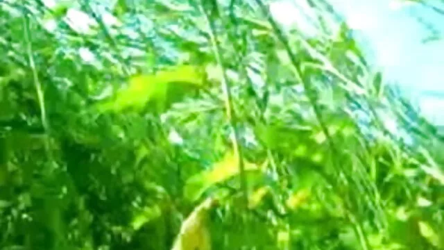सीपी ने हार्ड यार्ड में गड़बड़ कर दी इंग्लिश सेक्सी मूवी दिखाओ