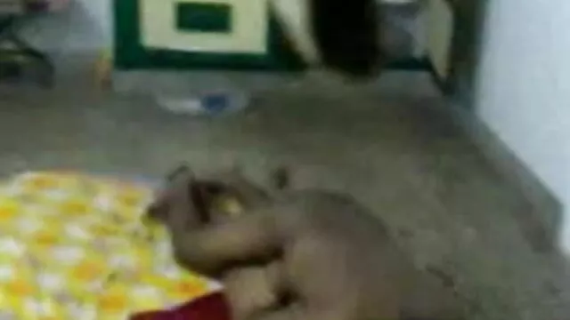 अस्पताल में त्रिगुट इंग्लिश सेक्स वीडियो फुल मूवी अंतरजातीय।