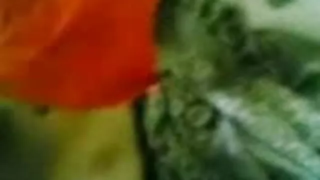 टिफ़नी बेपर्दा सेक्सी हॉट इंग्लिश मूवी