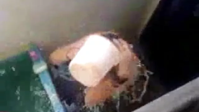 भारतीय युगल इंग्लिश सेक्सी मूवी वीडियो