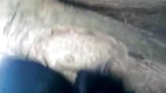 चार्ली इंग्लिश मूवी सेक्सी फिल्म बोब्ज