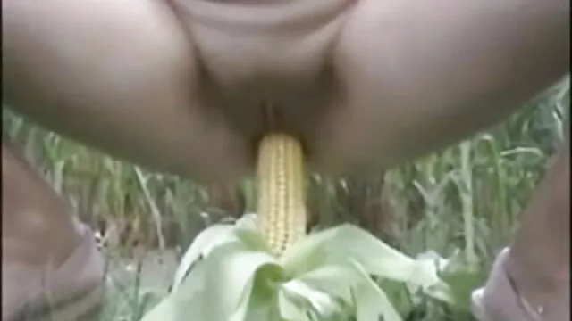 जापानी स्वीटी Hitomi Ikeno बिना सेंसर इंग्लिश सेक्सी शॉर्ट मूवी गड़बड़