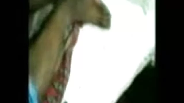 ब्राजील इंग्लिश मूवी सेक्सी पिक्चर की एलीयन गड़बड़